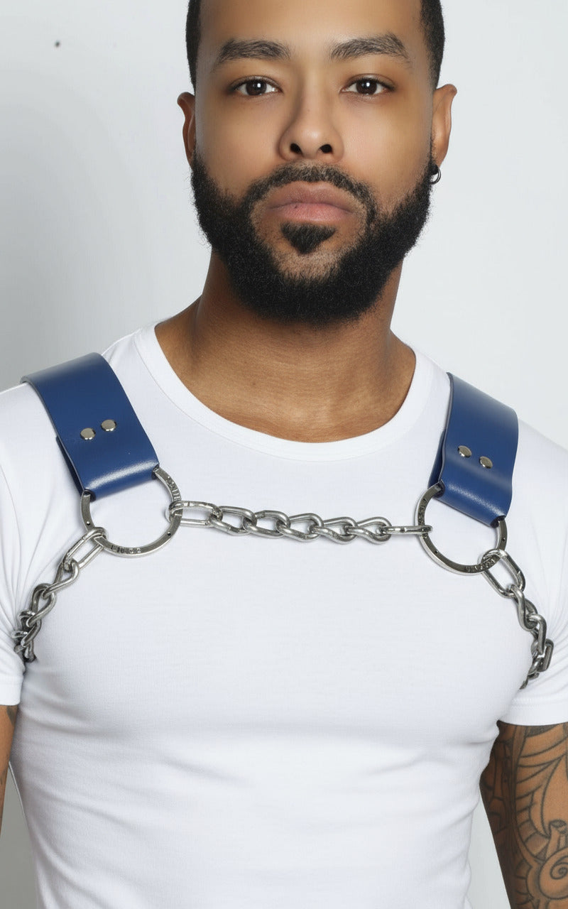 Blue Leather Dogwood Overlay